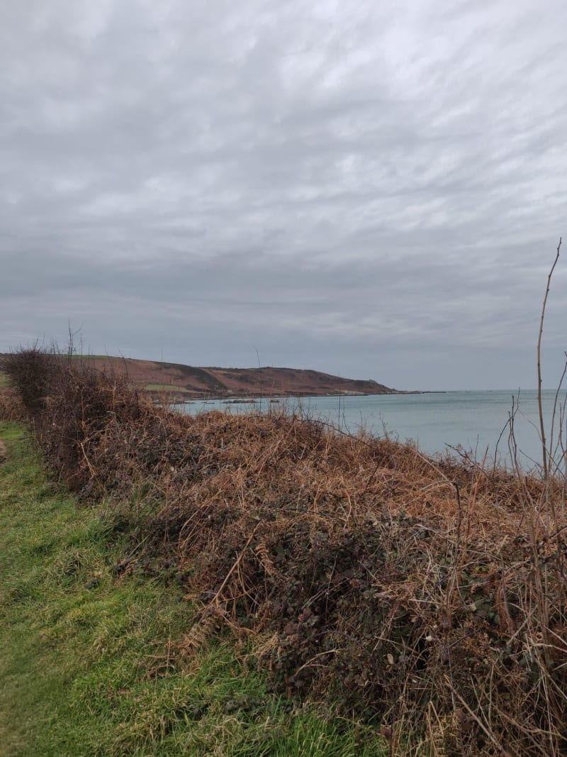 Omonville-la-Rogue par le GR® 223 et jolies vues sur la mer - Hameau Gruchy, La Hague