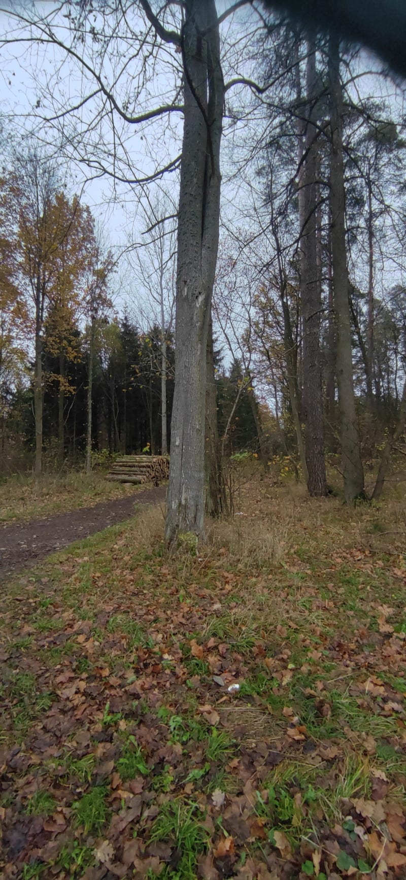 Szlak po warmińskim lesie - Bartąg