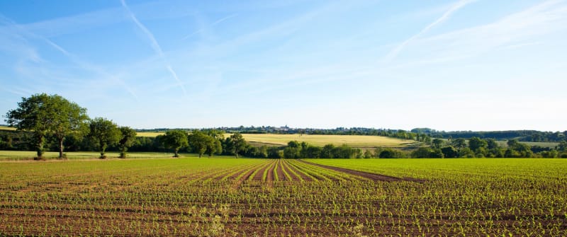 Bouffée d'air champêtre et bourgade d'Haspres - Haspres