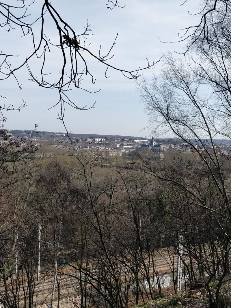 Randonnée à pied ou à vélo sur les hauteurs de Versailles - Versailles