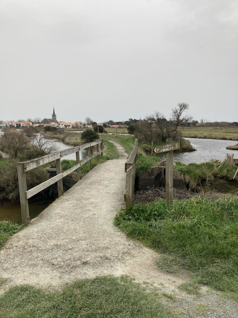 Ile d’Olonne et ses marais salants - L'Île d'Olonne
