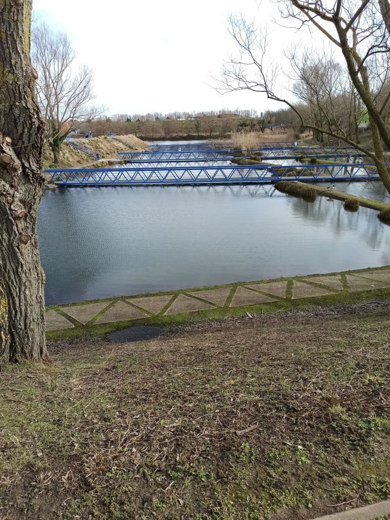 Ontspan in het Plage-Bleue Park en geniet van een verfrissende ademtocht in de frisse lucht - Limeil-Brévannes
