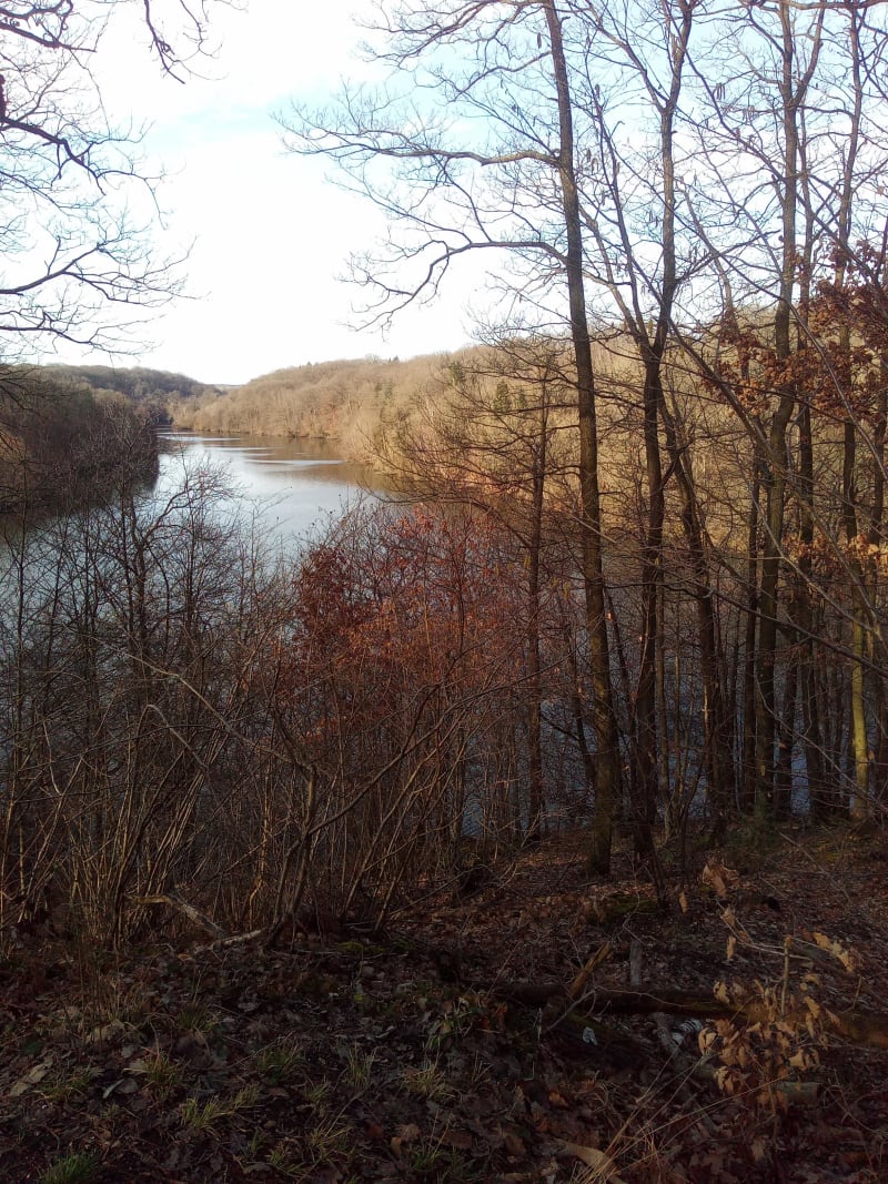 Etangs aux mille reflets entre Guyancourt et Versailles - La Mare Jarry