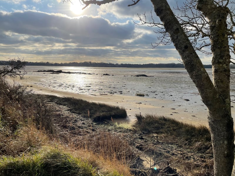 Vannes et ses paysages sublimes entre Terre et Mer - Vannes