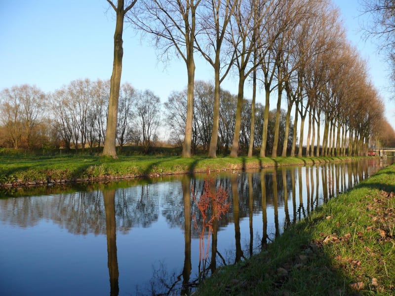 Arpenter les berges du canal de Roubaix… en paix - Wattrelos