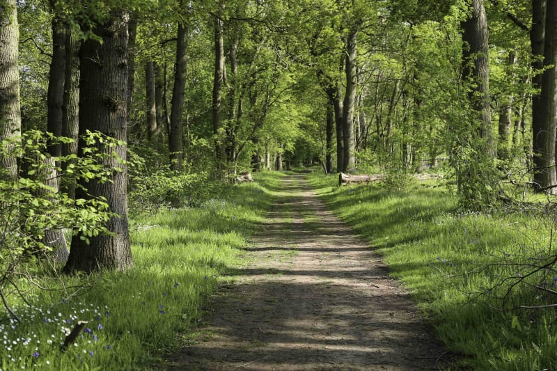 Défens de la Tour et belle nature de Puget-Ville - Puget-ville