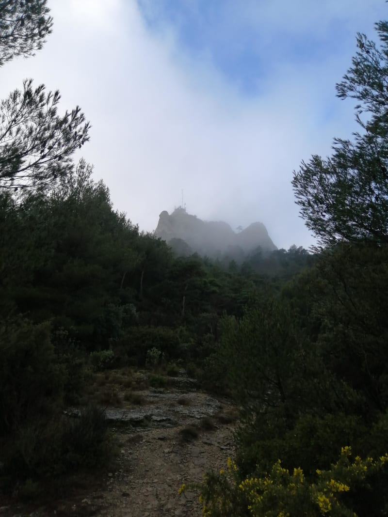 Etoile Massif en de ongewone postbodegrot - Les Marres