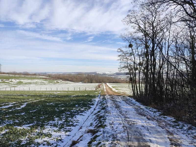 Sur les hauteurs de Sommerviller et vue sur le Léomont - Sommerviller