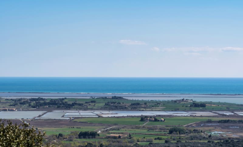 Salines de Villeneuve et avalanche d'oiseaux - Mireval