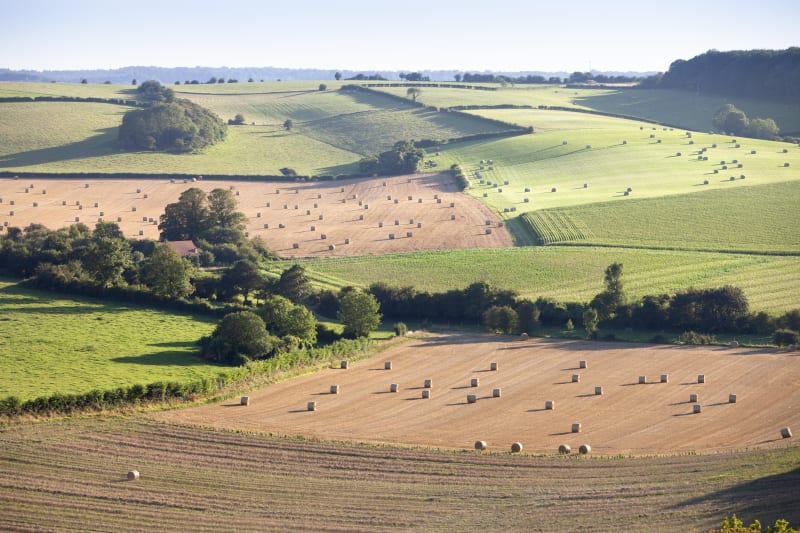 Balade en pleine campagne depuis Wervicq-Sud - Wervicq-Sud