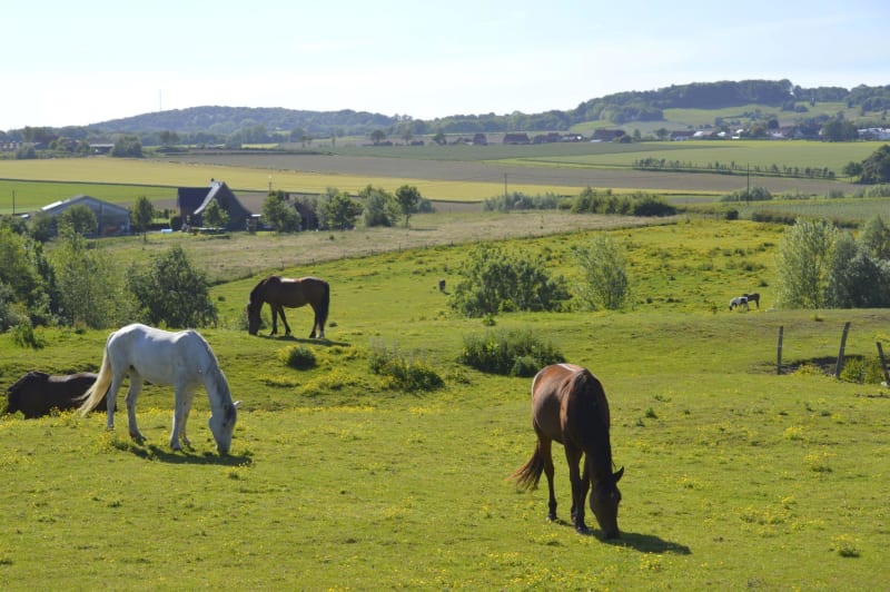 Campagne à vélo entre Lille et Kemmel - Lille
