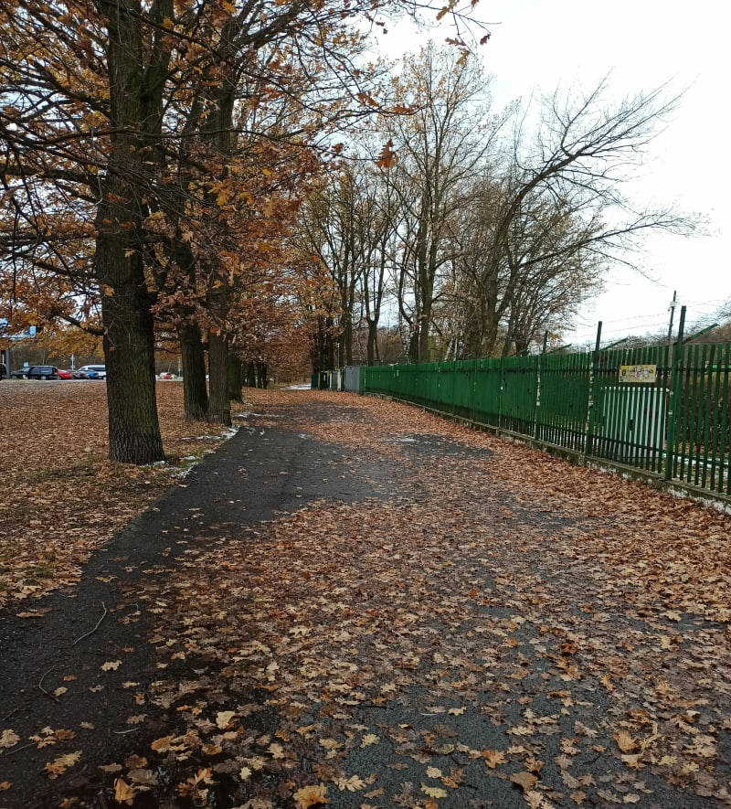Klasyk Parku Śląskiego - Katowice