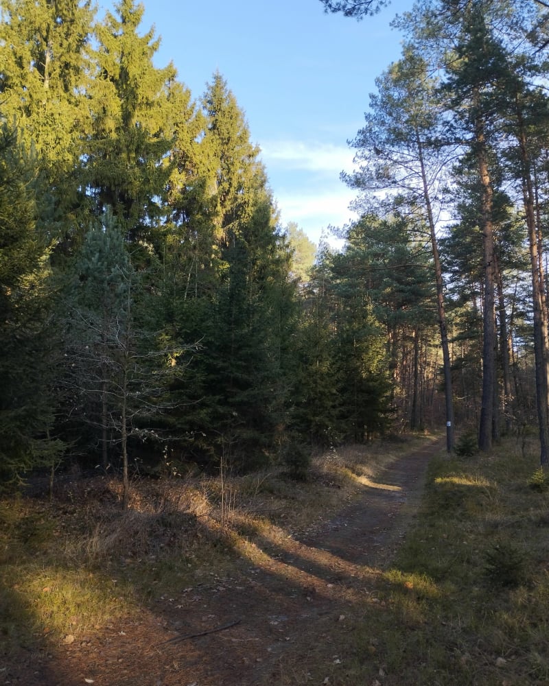 Wędrówka w dolinie rzeki Baby - Sieniczno