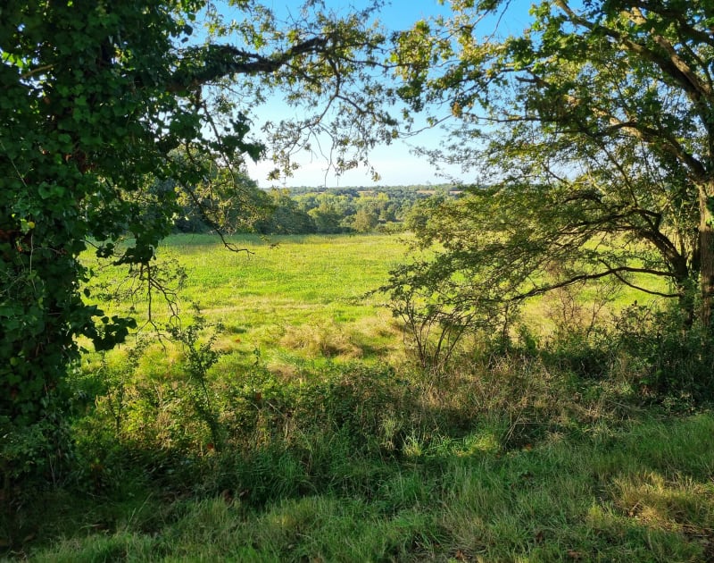 Promenade à la découverte de la Gillaudiere - La Chaize-Giraud