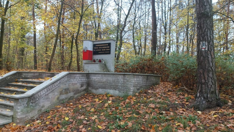 5km po lesie miejskim w Gnieźnie - Gniezno