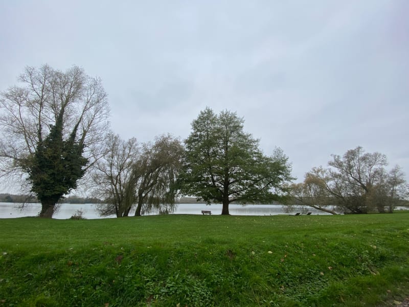 Entre marais et campagne autour de Palluel - Palluel