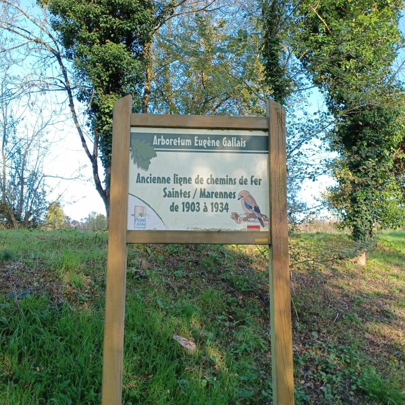 Aux bords de l'Arnoult - Pont-l'Abbé-d'Arnoult