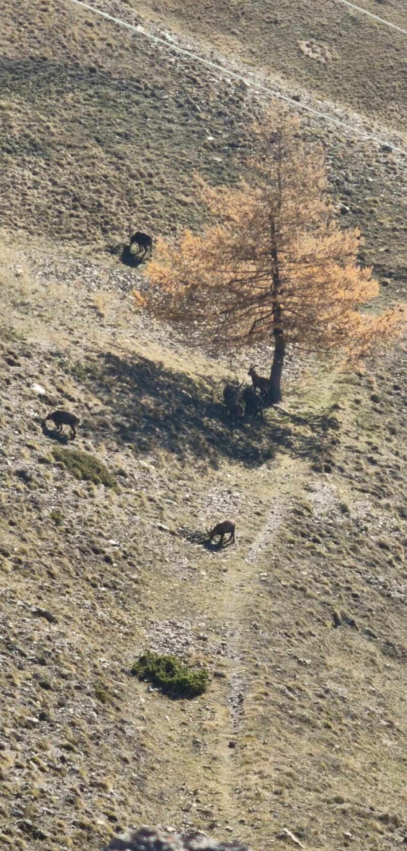 Col de Fours - Enchastrayes