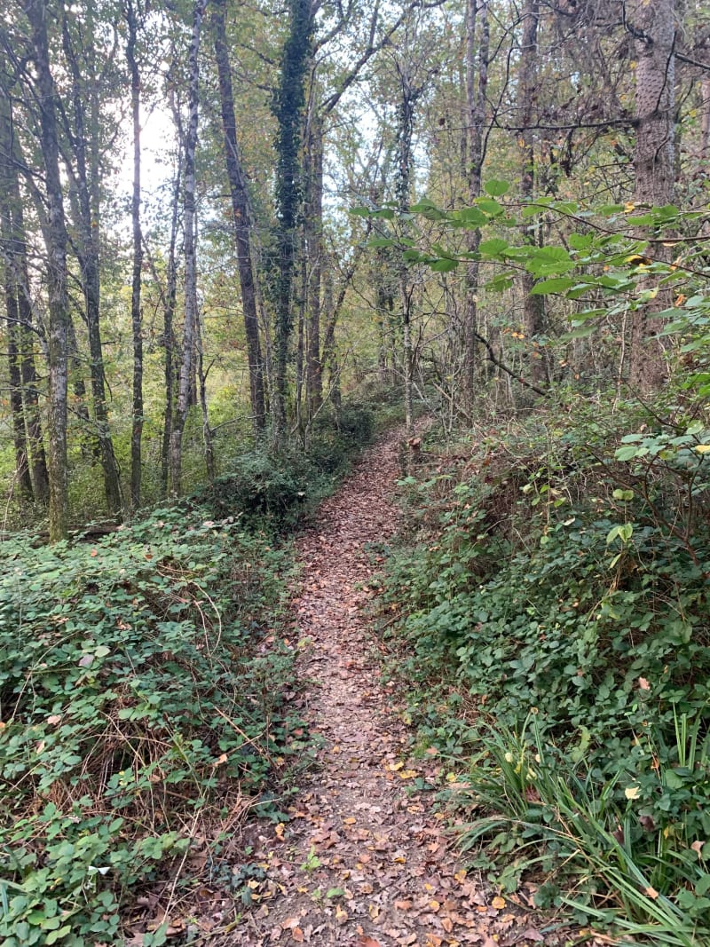 Balade Firet de Mezens1 - Buzet-sur-Tarn