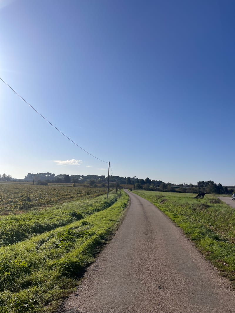 Balade entre terre et campagne - Maureilhan