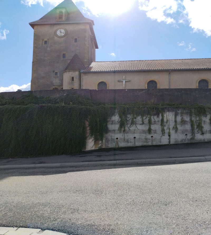 Les pelouses calcaires au départ de Marieulles - Marieulles
