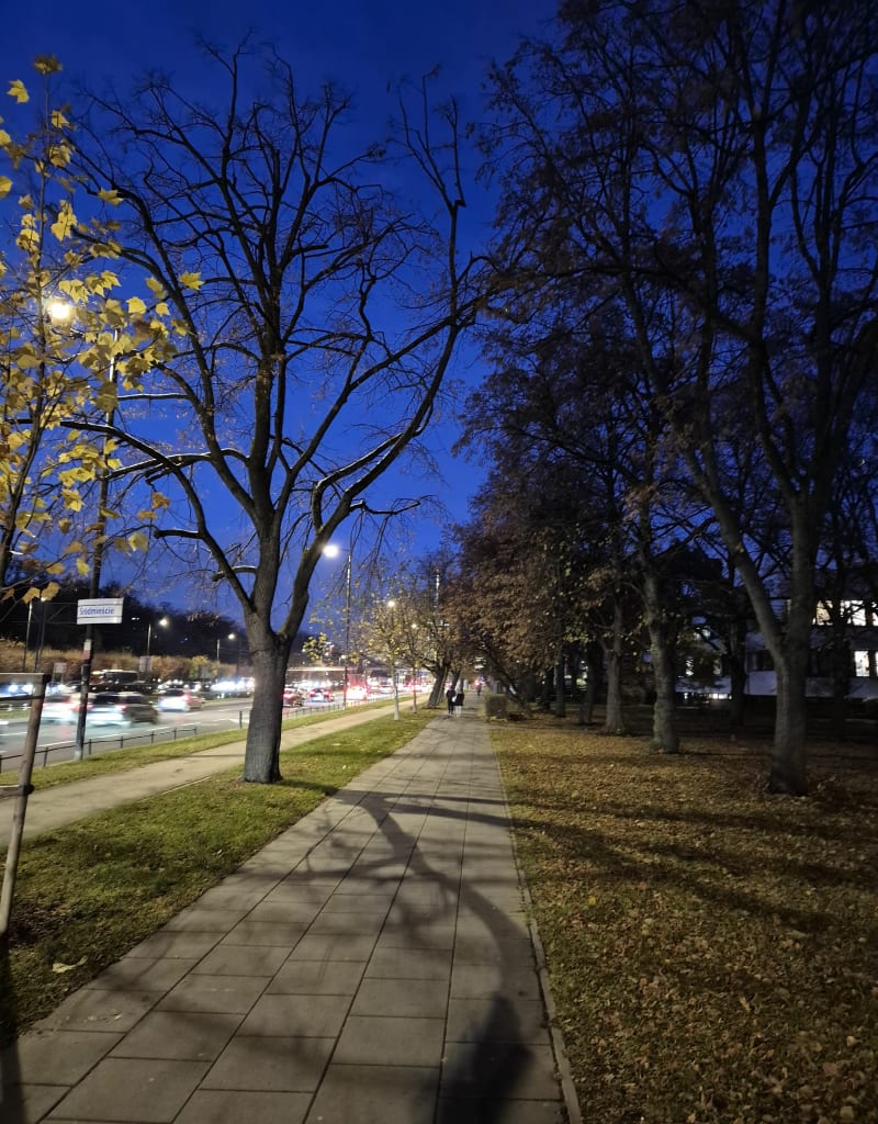 Trasa wokół pół mokotowskich ⁶ - Warszawa