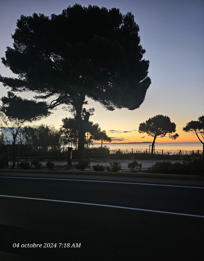 Bord de mer l'Ayguade. - Hyères