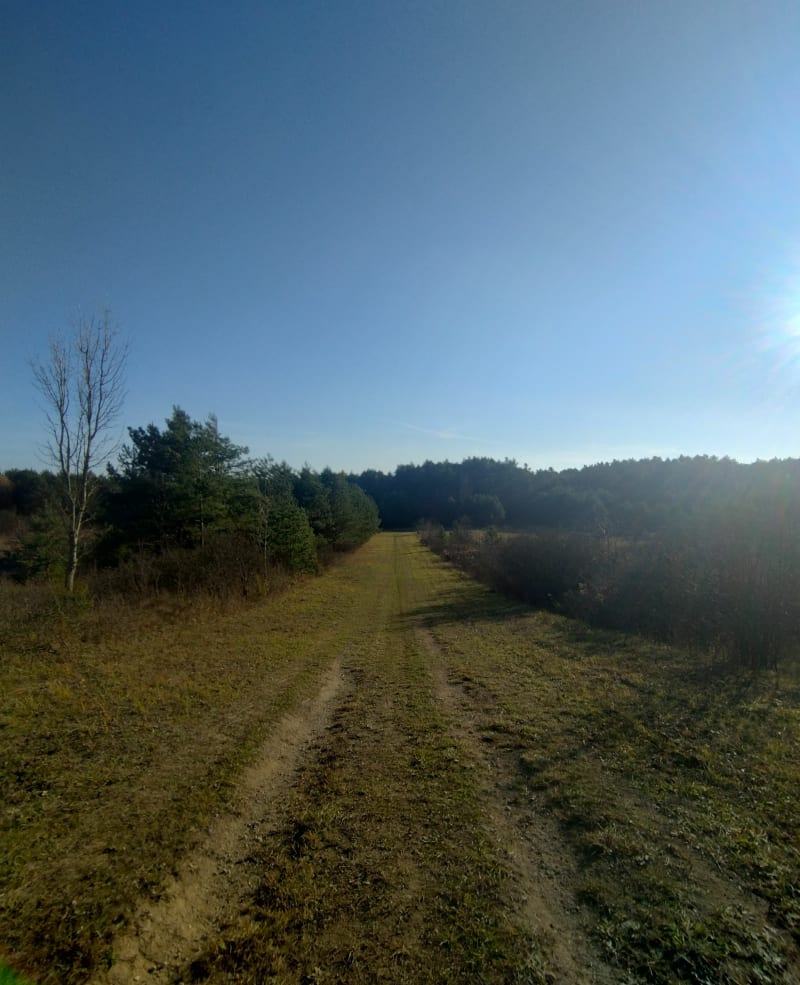Trasa spacerowa - Kajetanówka