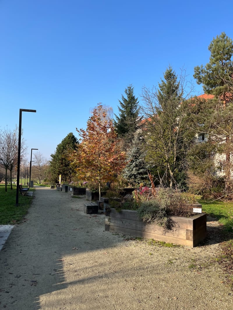 Spacer przez Park Kurdwanowski i Park Miłosierdzia - Kraków