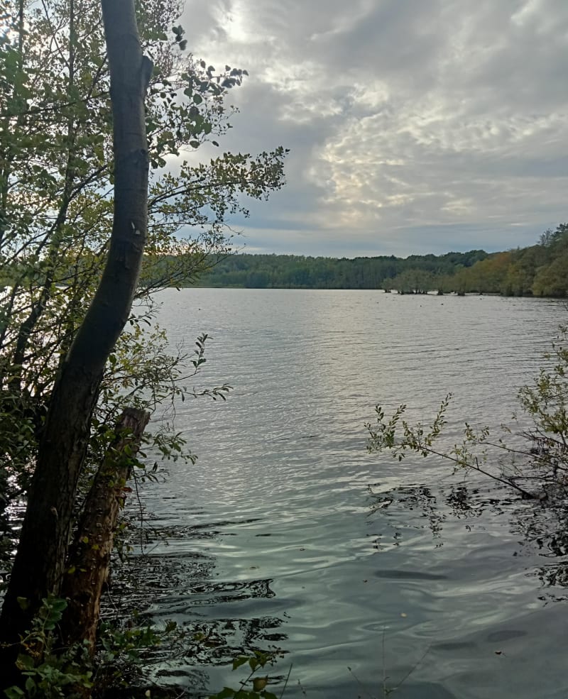 VTT de Marchiennes à la mare à Goriaux. - Marchiennes