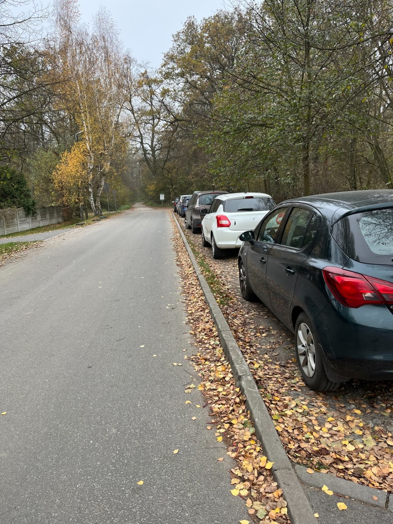Jezioro Dziewicze w Kotowicach pętla - Kotowice