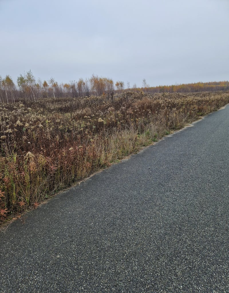 Przy lotnisku - Łódź-Polesie