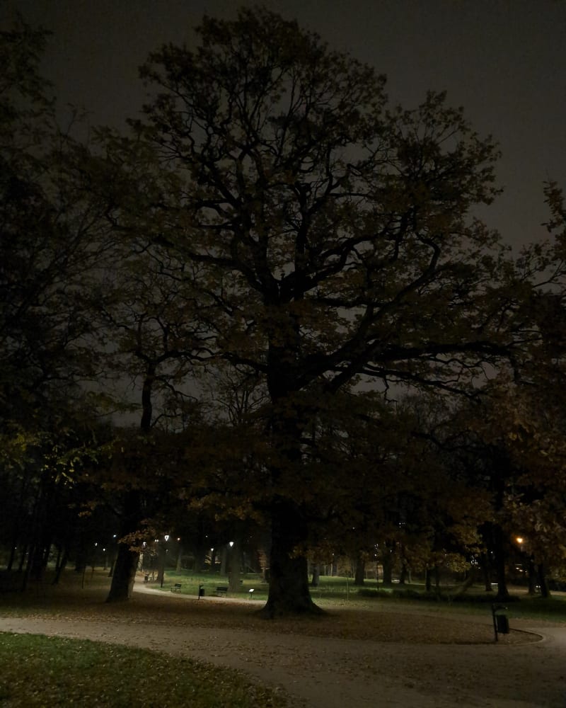 Park Jerzmanowskich - Kraków