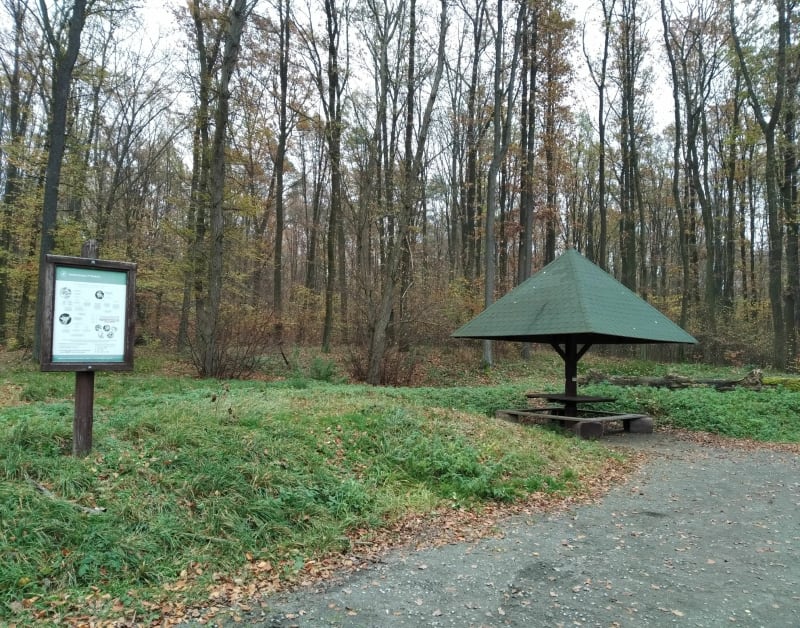 Nadleśnictwo Prószków, Lasy Państwowe - Prószków