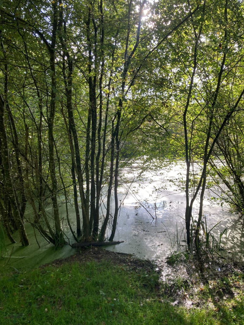 Balade Marmouzet et route Royale - Ormesson-sur-Marne