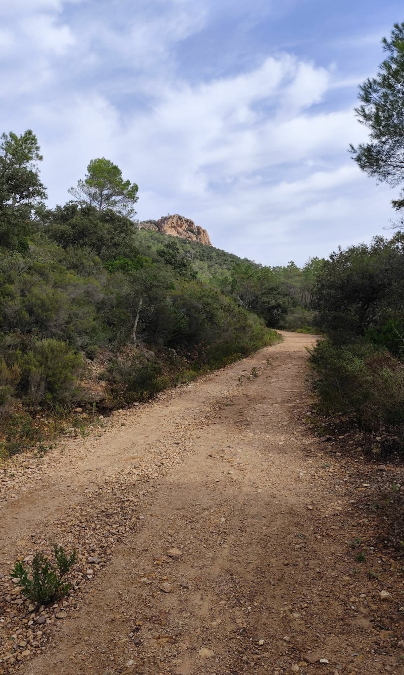 La boucle des 3 étangs - Puget-sur-Argens