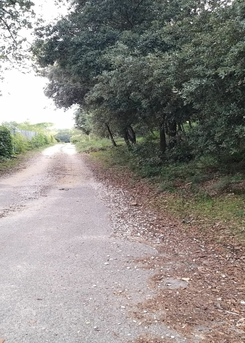 Boucle VTT autour de Sabran - Sabran