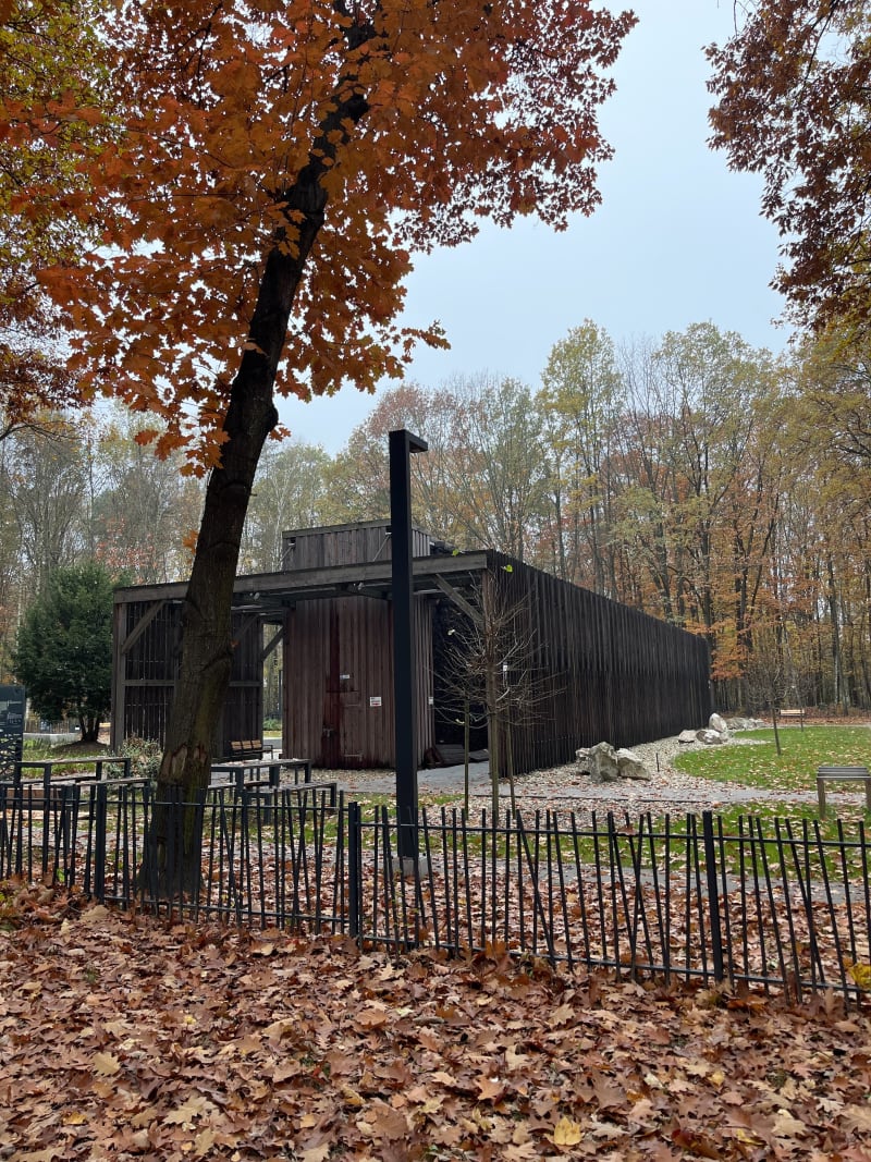 Park Zadole w jesiennej aurze - Katowice