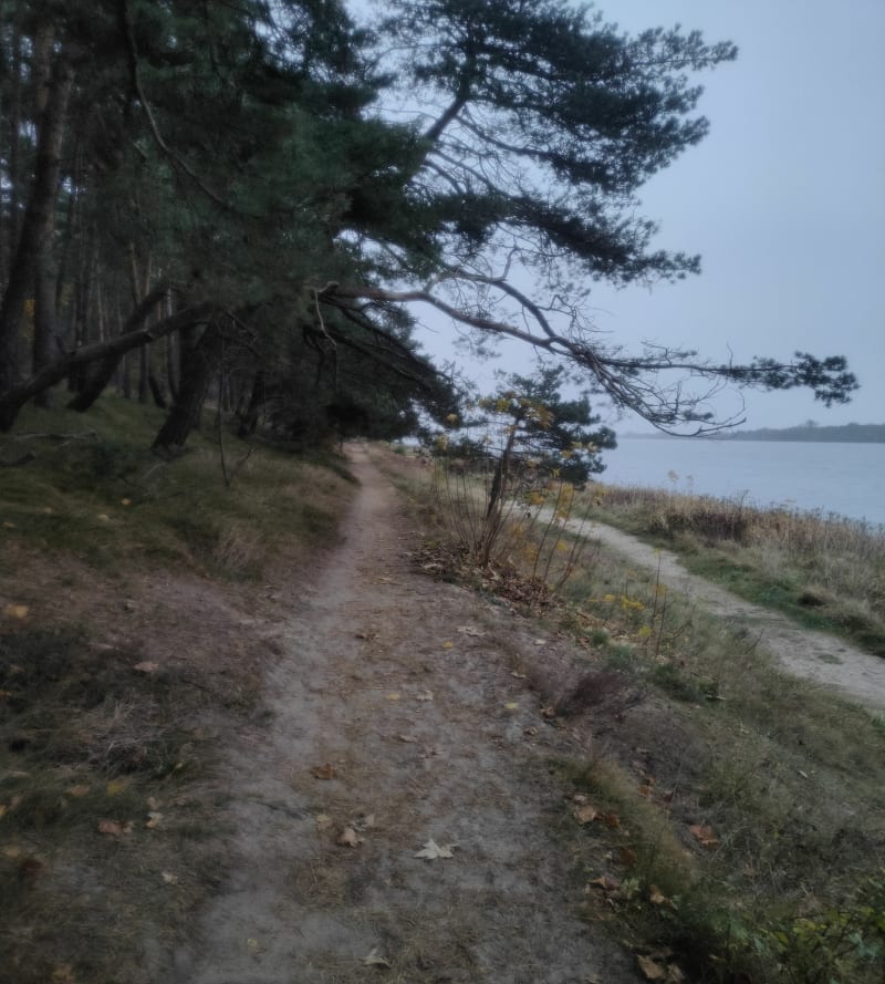 Wzdłuż ujścia Wisły - Świbno - Gdańsk