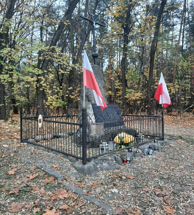 Po lasach kobyłkowskich - Kobyłka