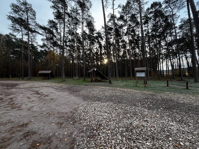 Fajna trzynastka w lesie wierzejskim - Piotrków Trybunalski