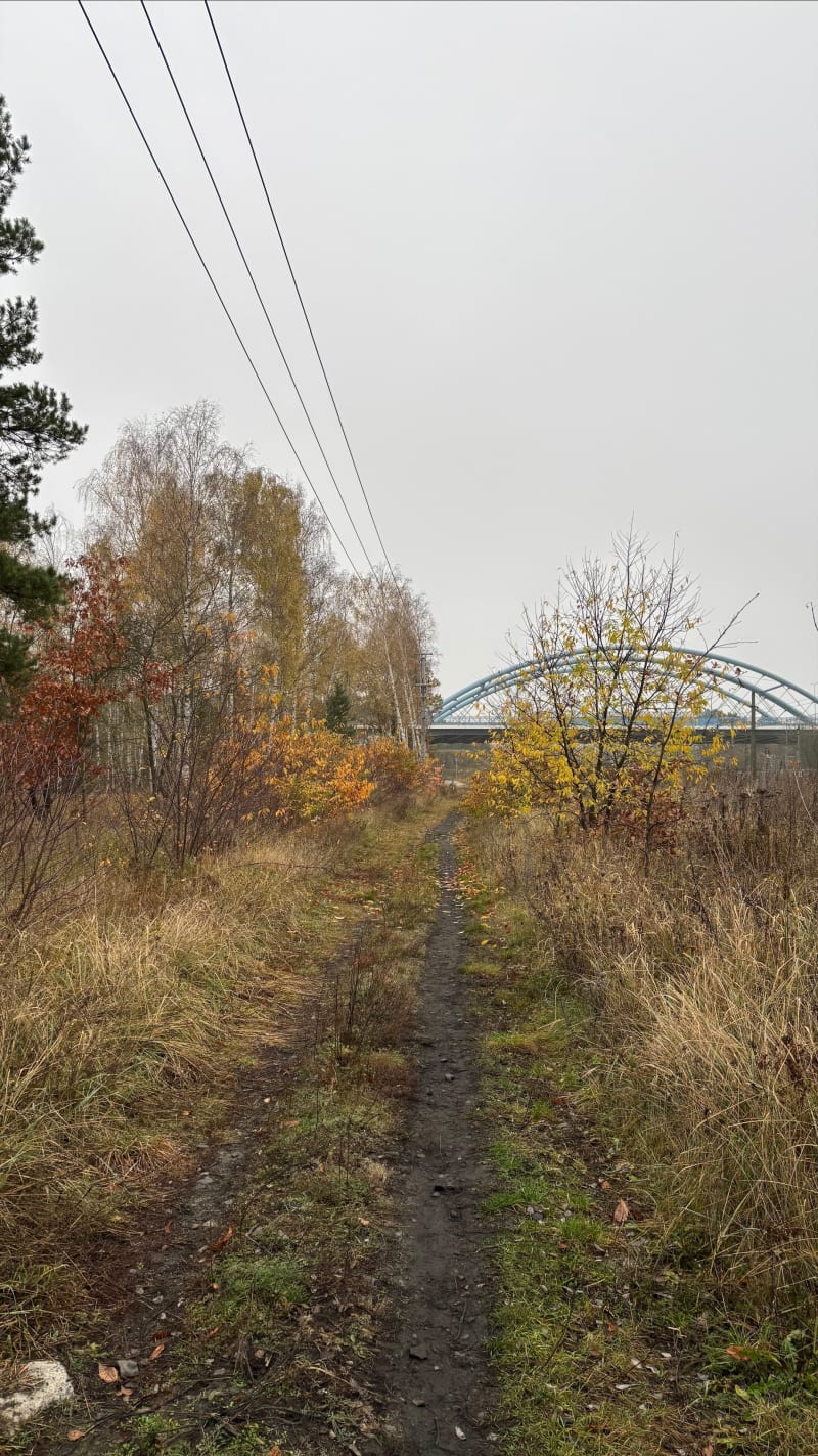 Leśna Pętelka - Bydgoszcz