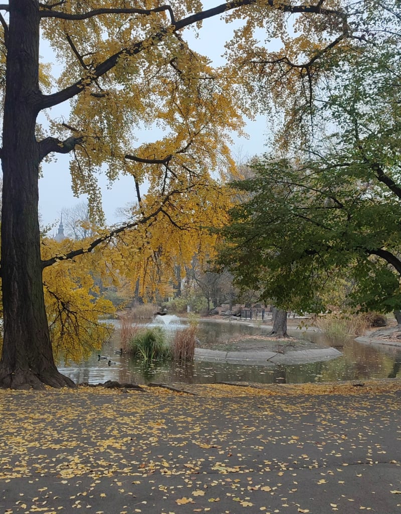 Park miejski - Poznań