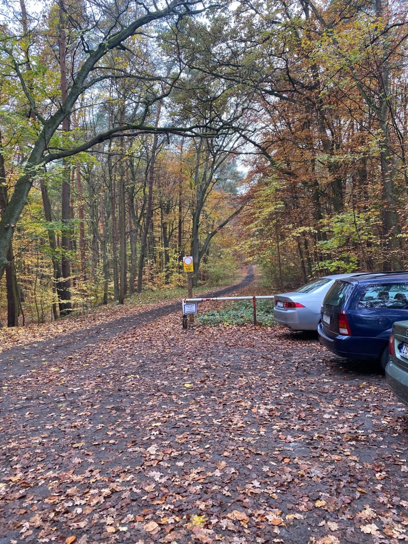 Głębokie Jaworowa - Szczecin