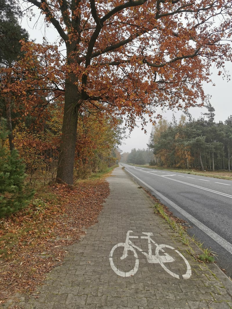 Trasa Wieruszów i Klatka - Wieruszów