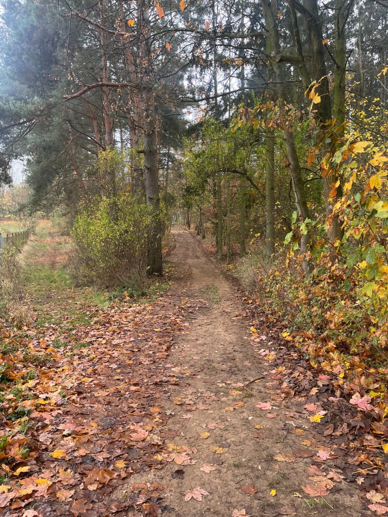 Spacer po Czarnkowie - Czarnków
