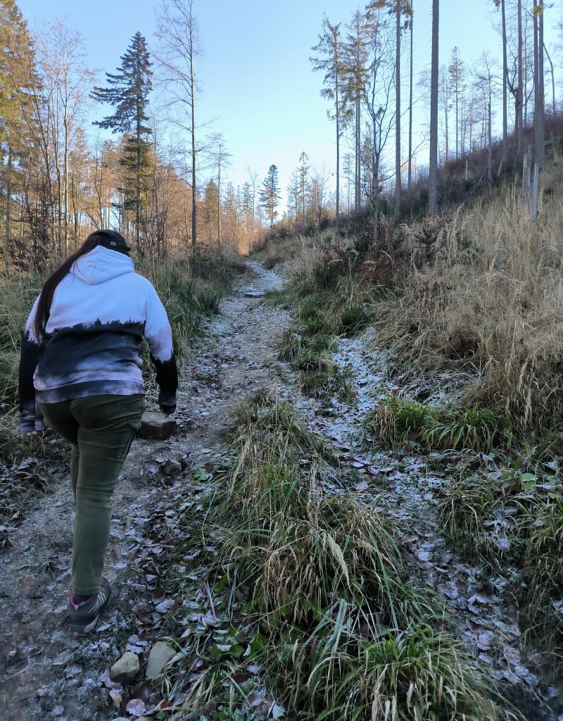 Krótka pętla do schroniska na Rycerzowej Hali - Soblówka