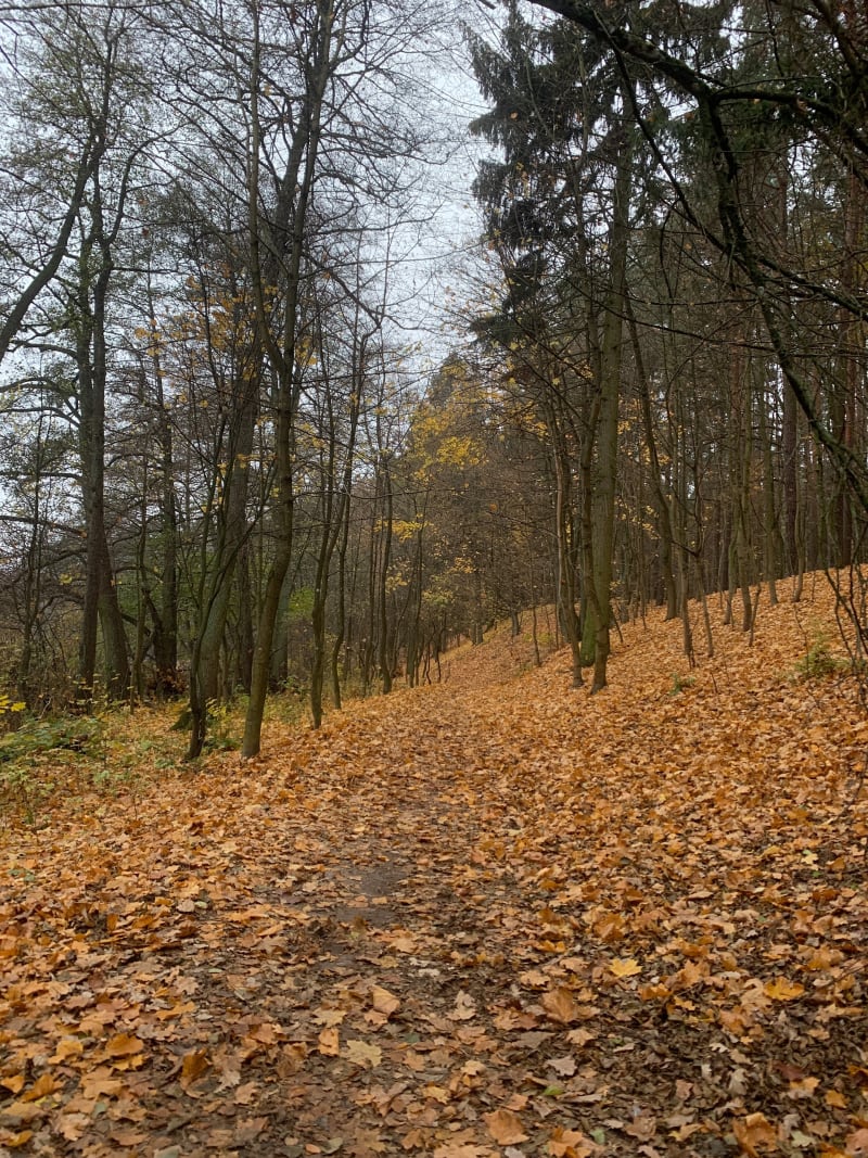 Trasa obok jeziora Ślanda - Olsztyn