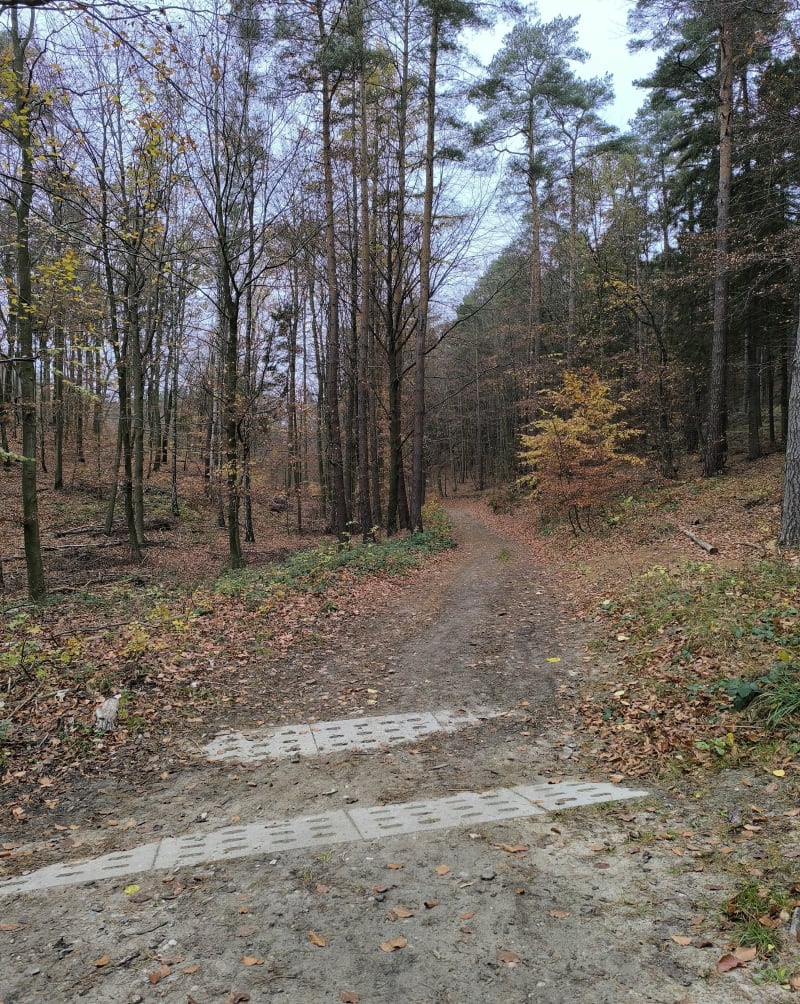 Kominki od drugiej strony - Lublewo Gdańskie