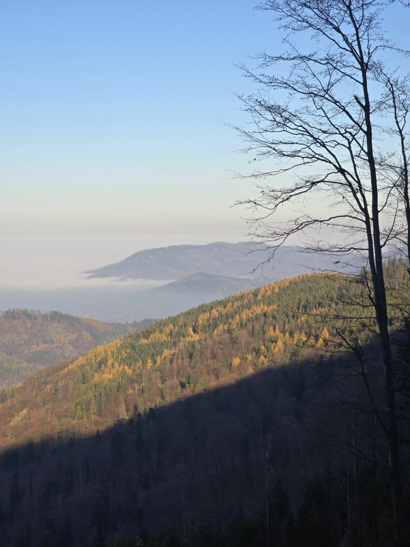 Pętla do schroniska pod Klimczokiem z Bystrej - Bystra